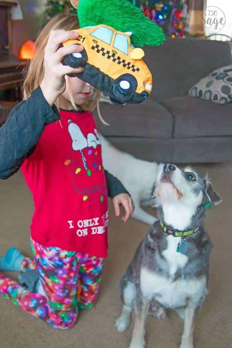 barkbox – the holiday gift for dog lovers (and their dogs)