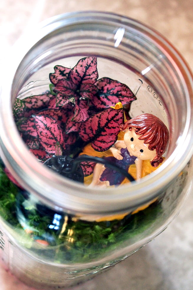 Easy Mason Jar Terrarium project