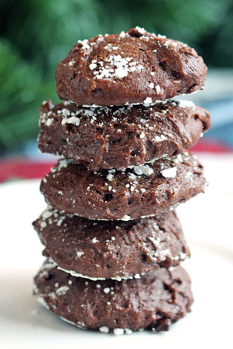 Gluten-free hot chocolate cookies - this is what it is like to eat a cup of rich and creamy hot cocoa with peppermint.