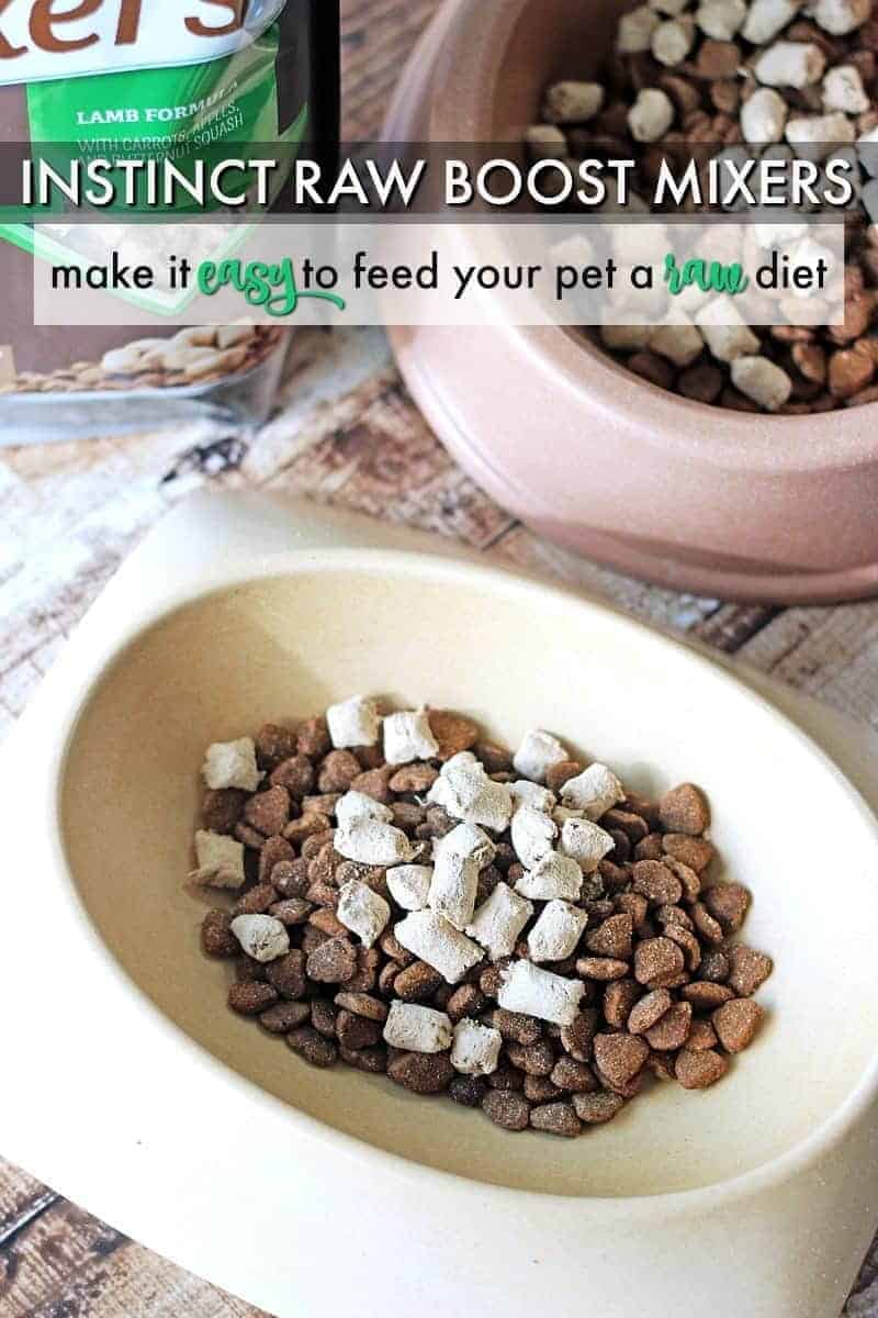 Instinct Raw Boost Mixers Make it Easy to Feed Your Pets a Raw Diet MixItUp 730 Sage Street
