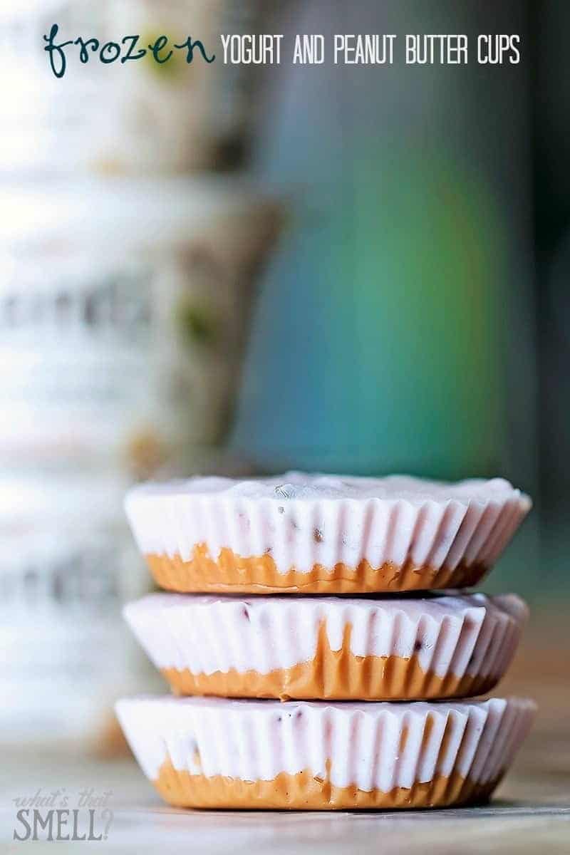 Frozen Yogurt and Peanut Butter Cups 730 Sage Street