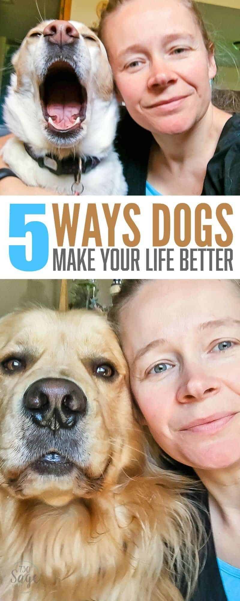 5 Ways Dogs make Your Life Better - For National Pet Month, Purina is donating $1 to Petfinder Foundation for every pet selfie shared w/ #PurinaPETtogether