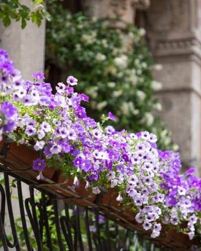 5 Design Elements for a Great Balcony