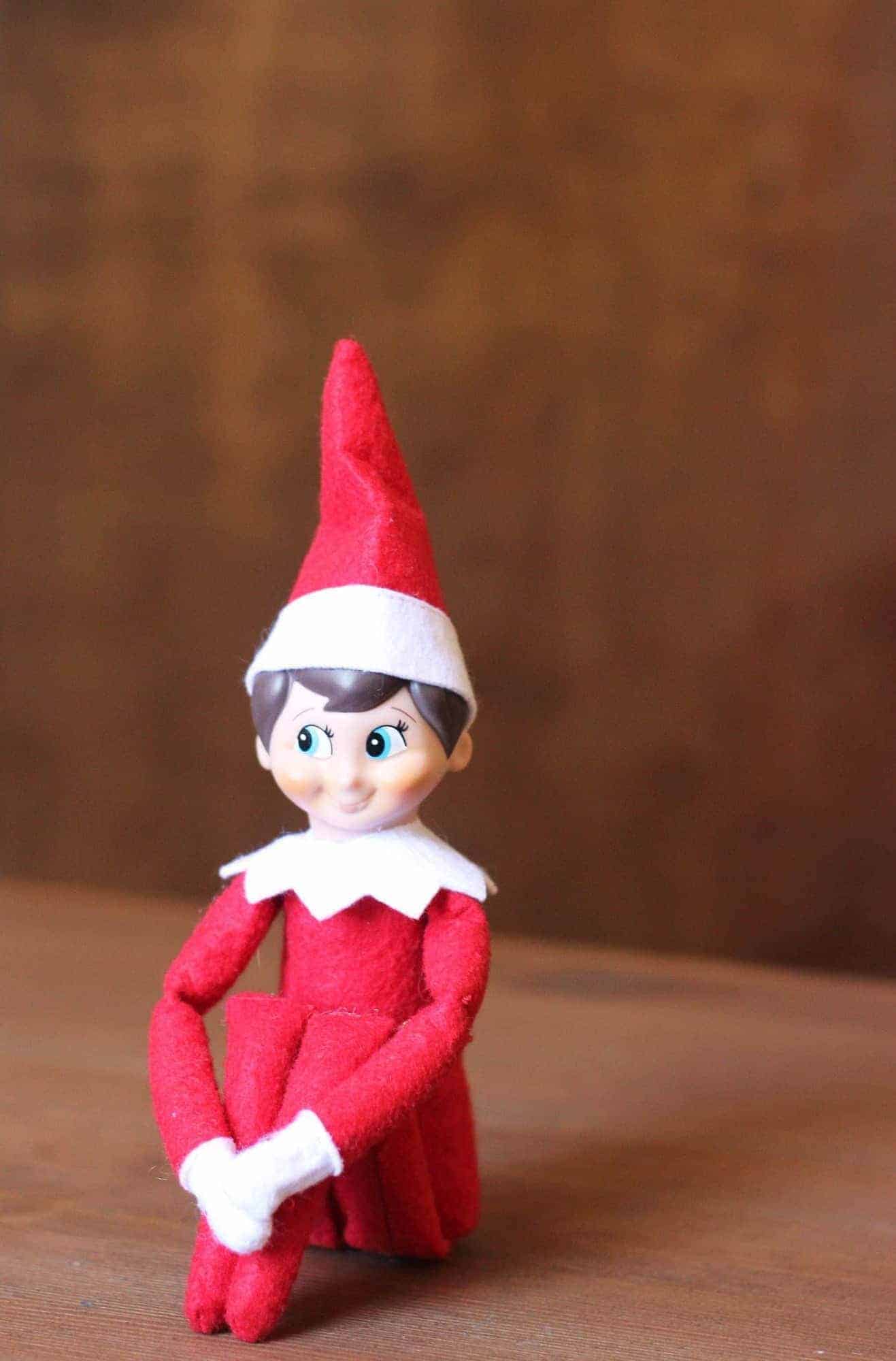 101 Elf on the Shelf Ideas - 730 Sage Street