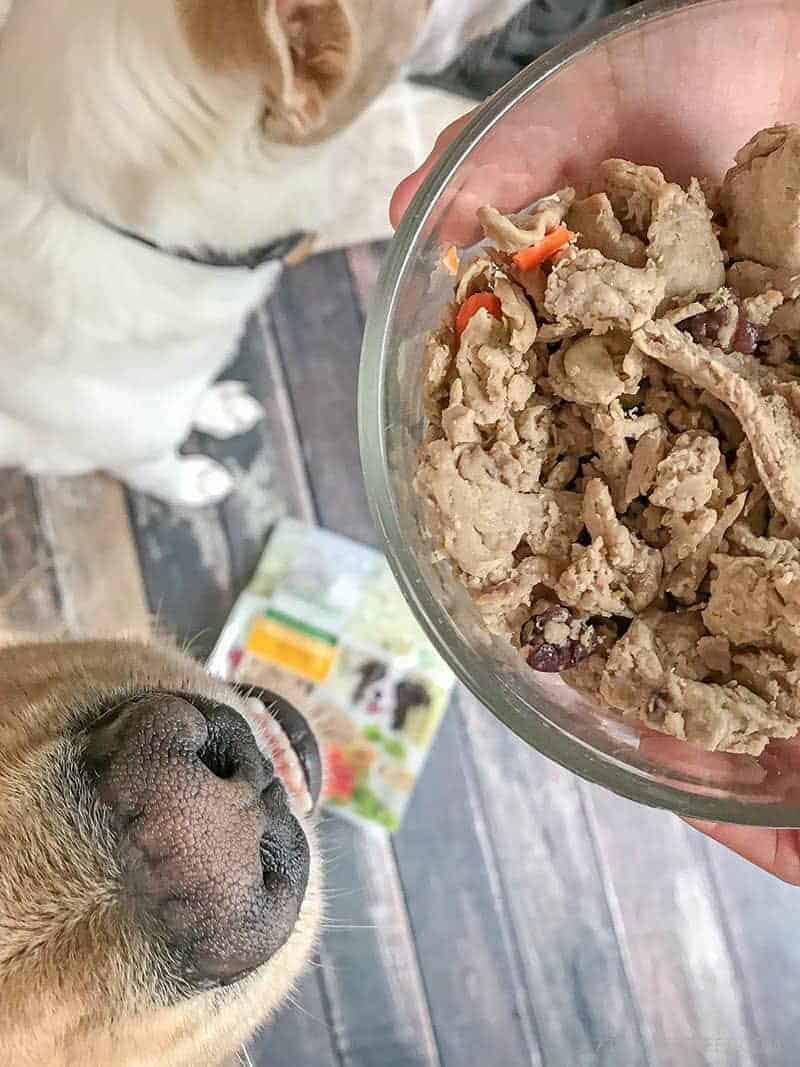 glass bowl with Freshpet Select