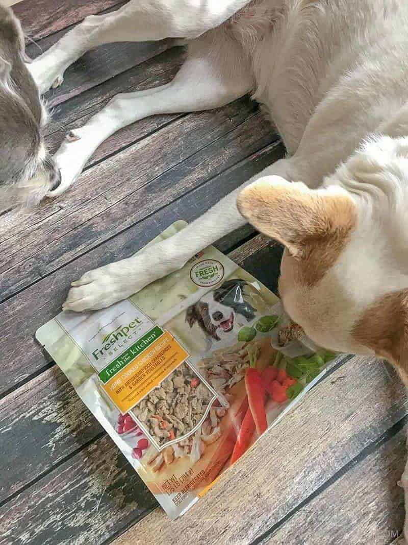 Freshpet select dog food on a wooden background with two dogs