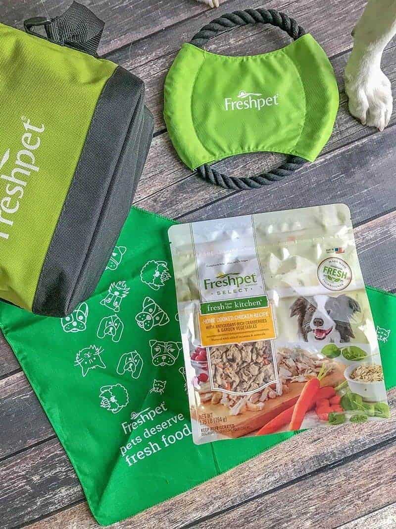 Freshpet Select dog food and toys on a wooden background