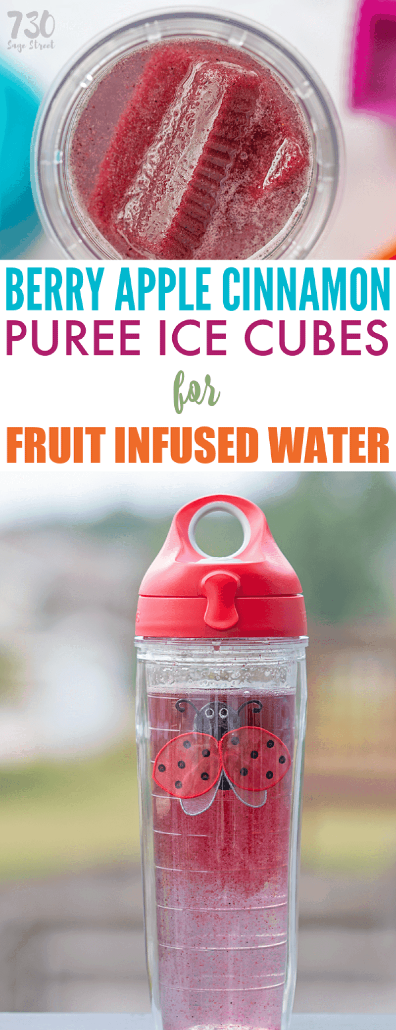 Help your kids establish healthy water drinking habits with Tervis and these delicious Berry Apple Cinnamon Pureed Fruit Ice Cubes for infused water. #fruits #infused #healthy #healthyrecipes #kids