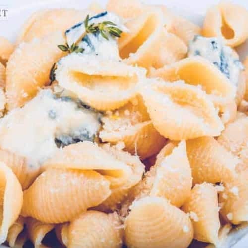close up of garlic butter pasta shells