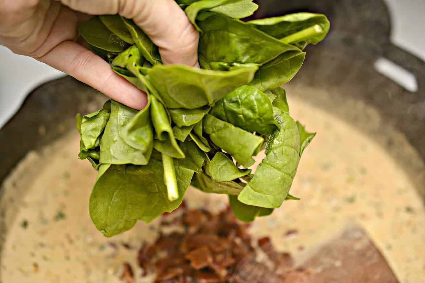 Adding spinach to Chicken Carbonara Recipe