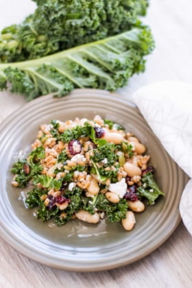 White Bean and Farro Salad with Red Wine Vinaigrette