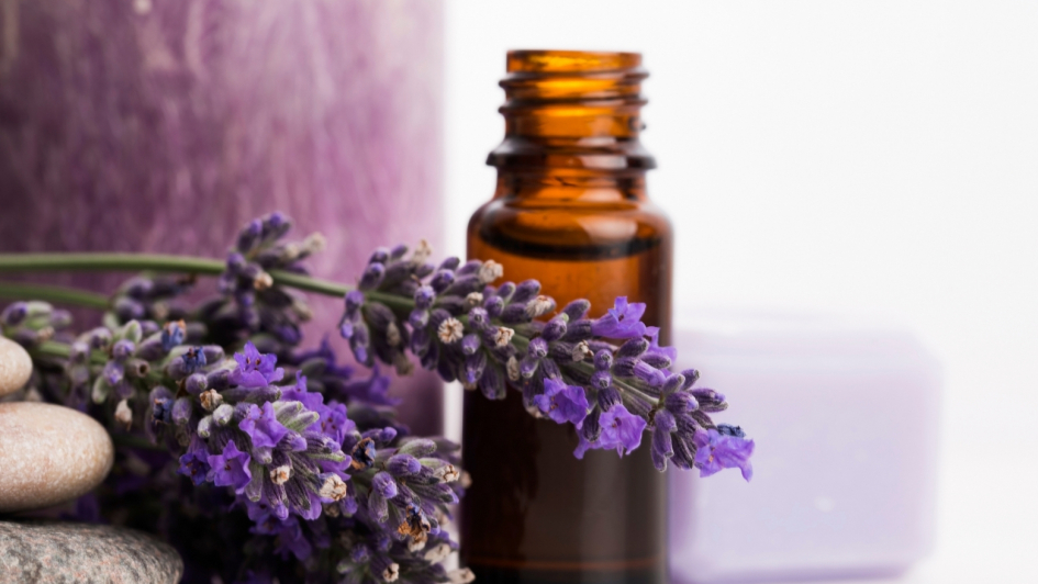 Lavendar flower essential oil