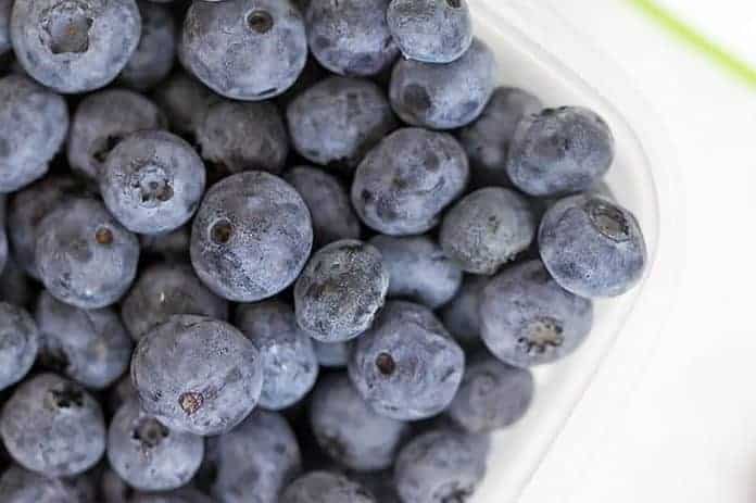 Blueberry Egg Strata 2 fresh blueberries in rubbermaid freshworks container
