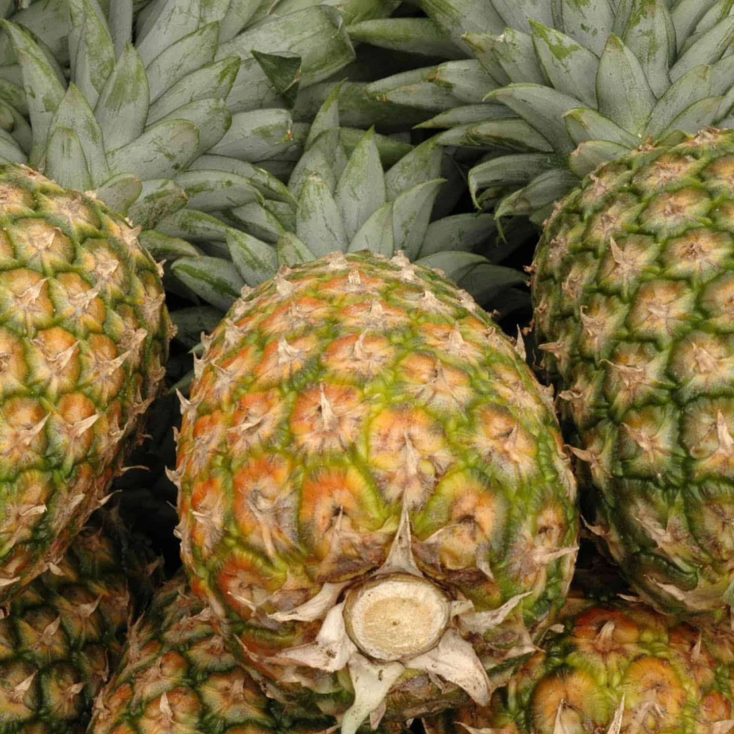 Smell the bottom of the pineapple to check ripeness