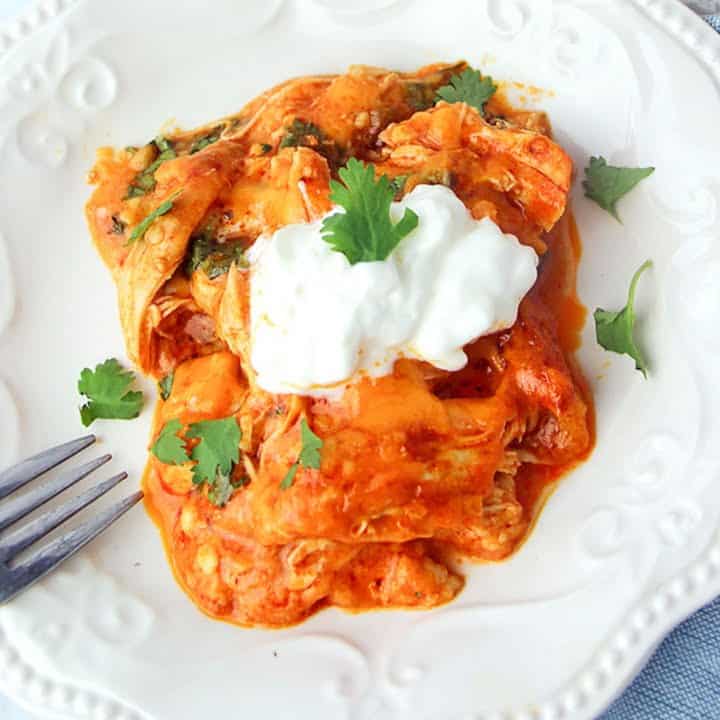 America's Test Kitchen Chicken Enchiladas Recipe