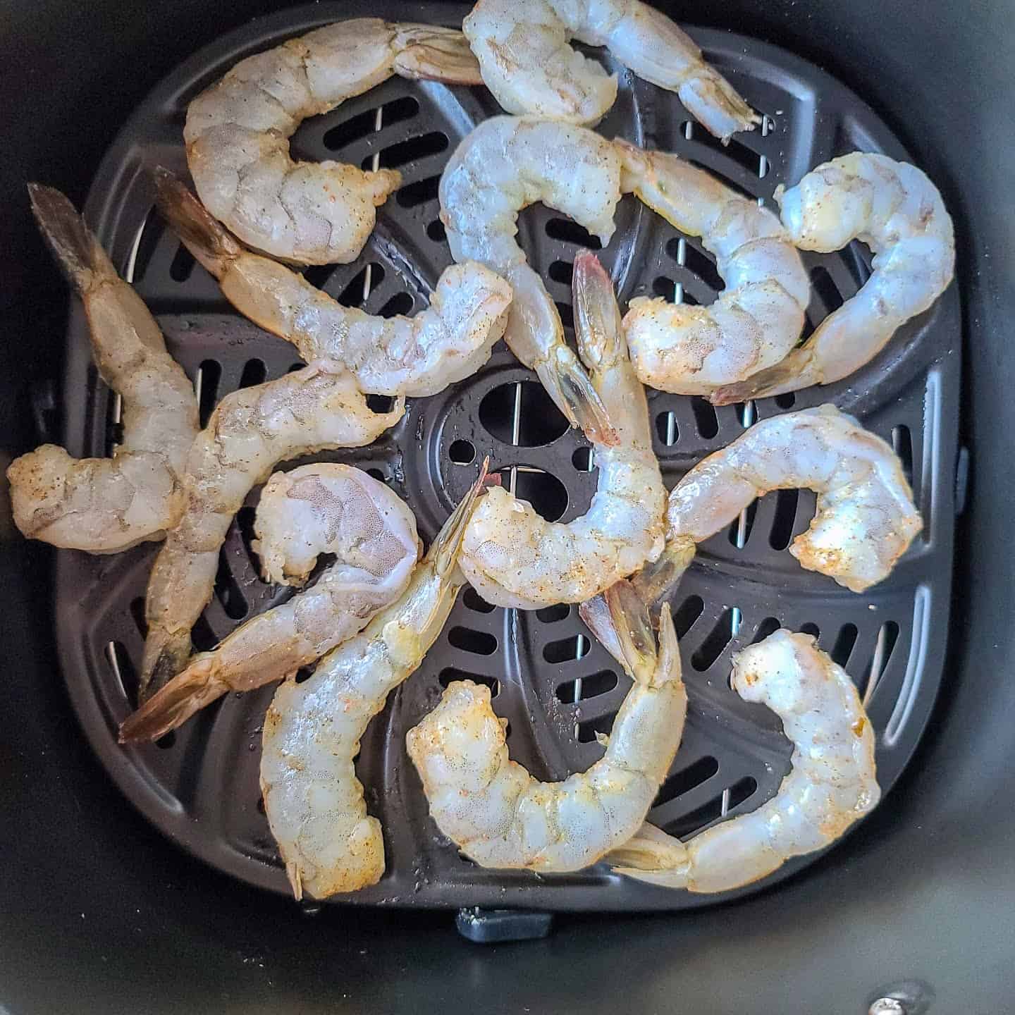 air fryer shrimp 18