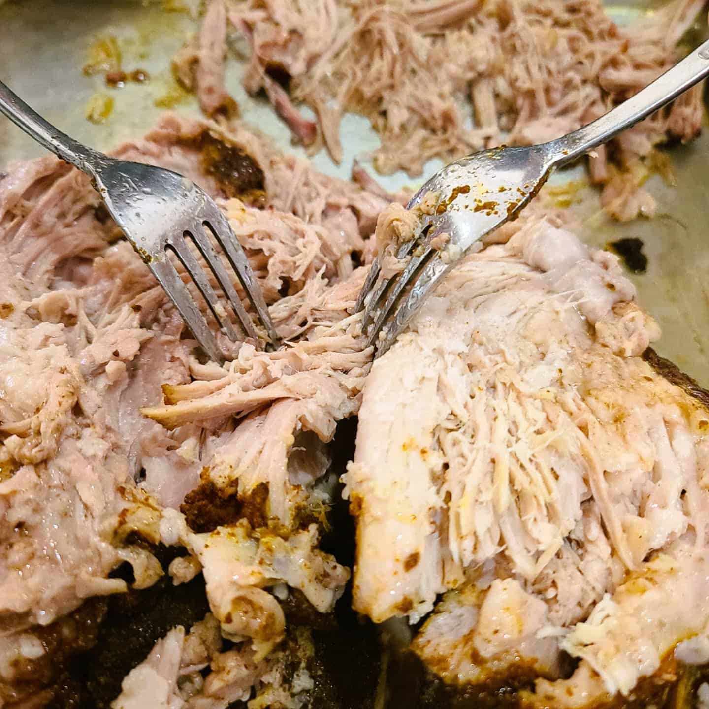Once removed, start shredded the pork with forks.