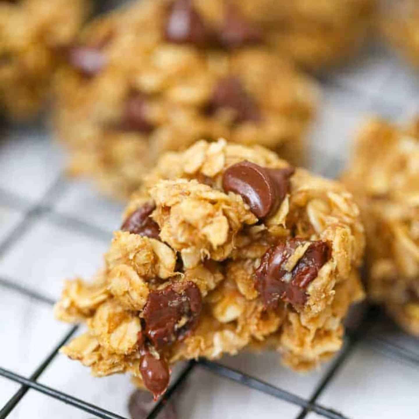Easy chocolate chip oatmeal cookies