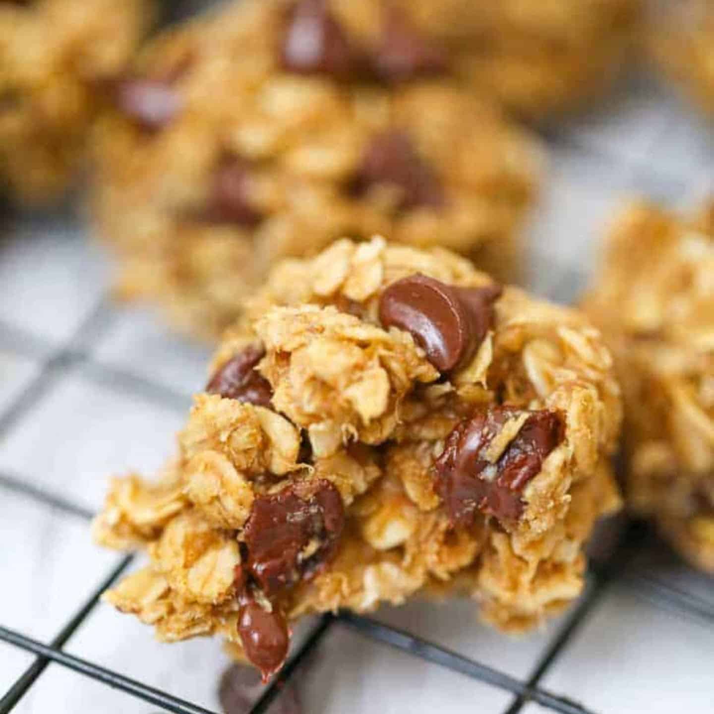 Easy Chocolate Chip Oatmeal Cookies