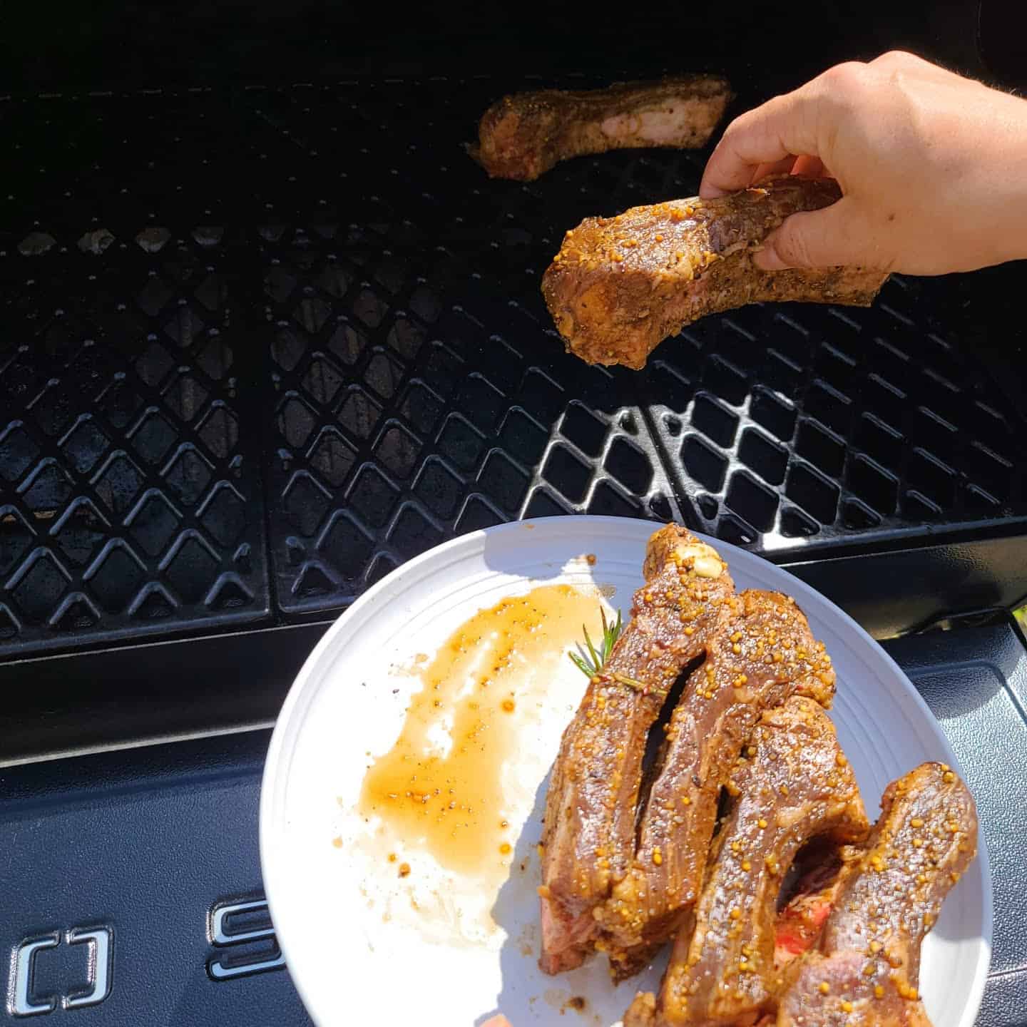 smoking beef back ribs