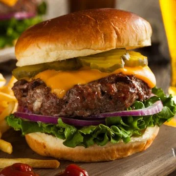 ground bison recipes hamburger