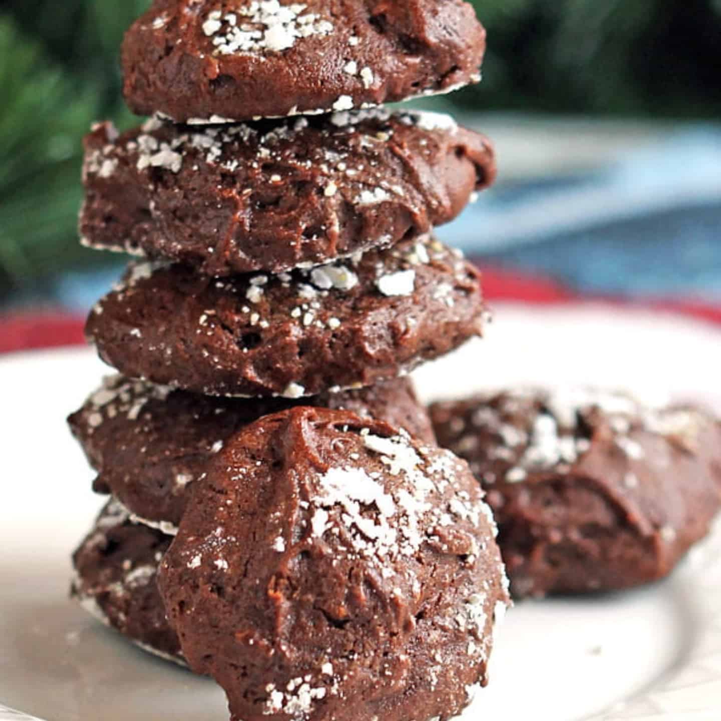Chocolate Peppermint Cookies featured1 1