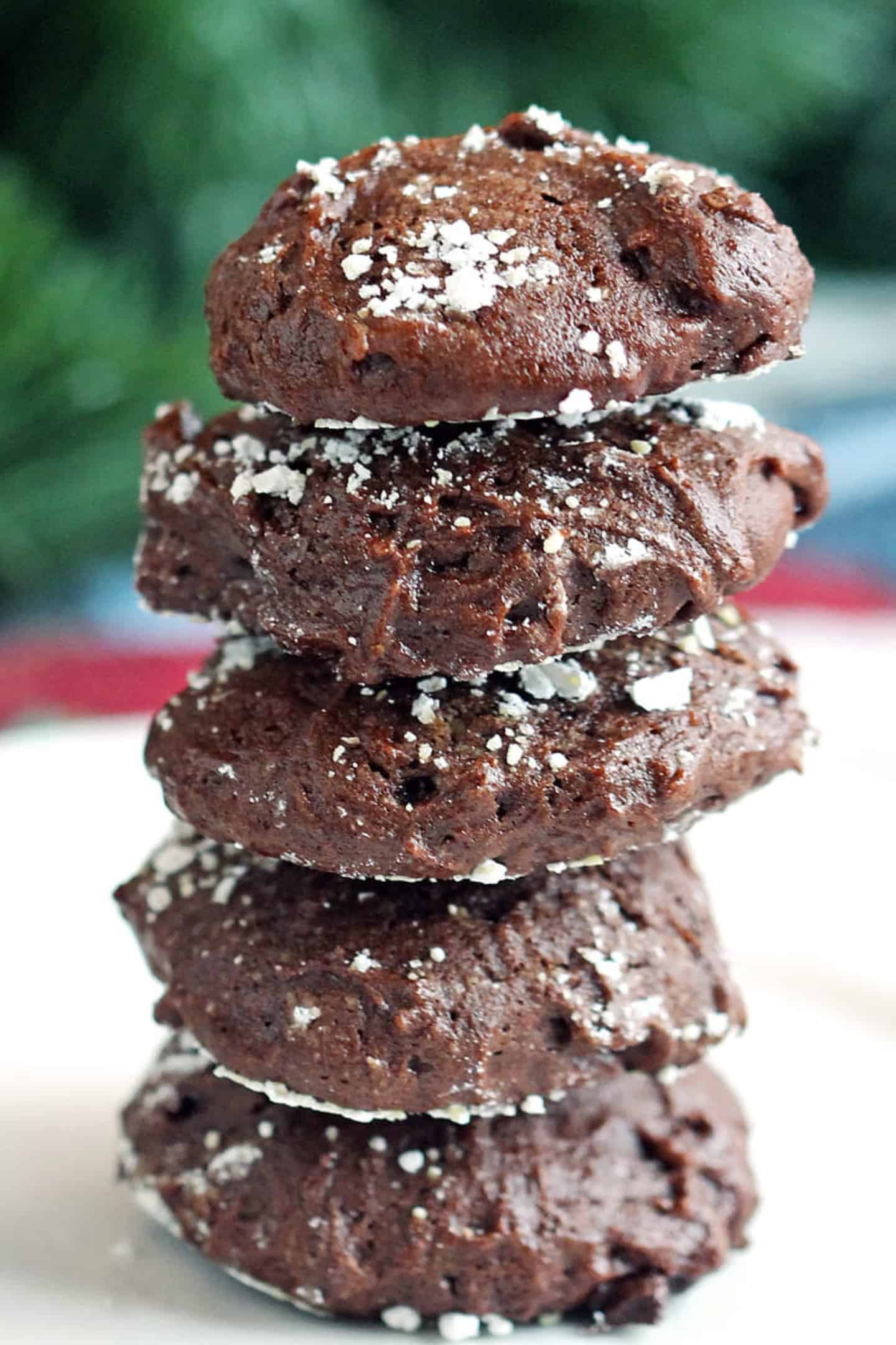 Chocolate Peppermint Cookies2