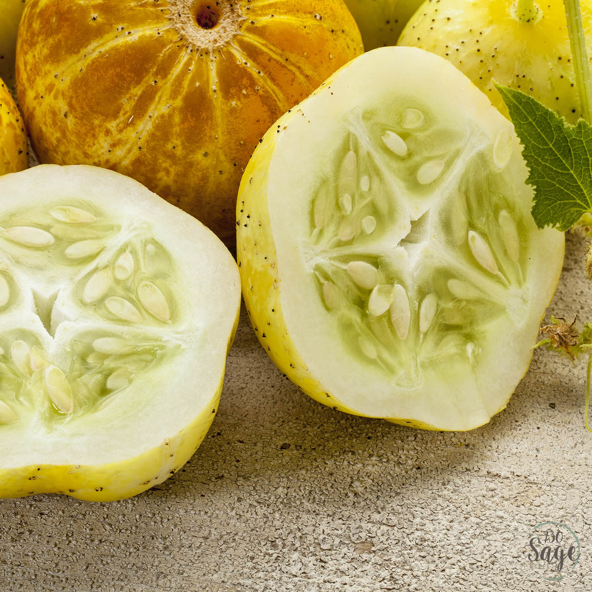 Lemon Cucumbers Recipes