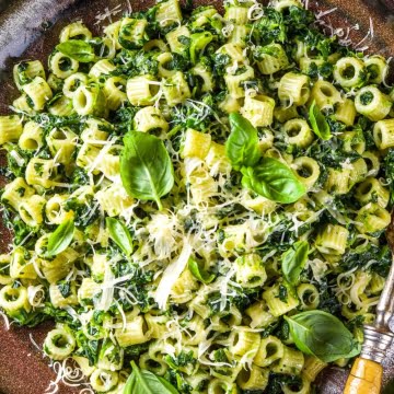 20 Canned Spinach Recipes