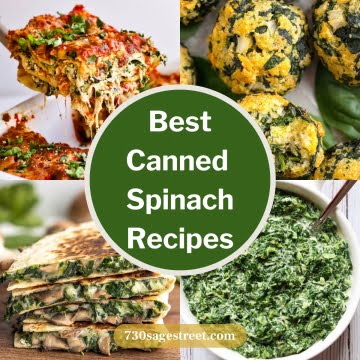 Best Canned Spinach Recipes